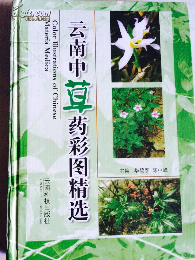 云南中草药彩图精选