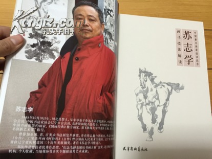 苏志学 画马技法解读