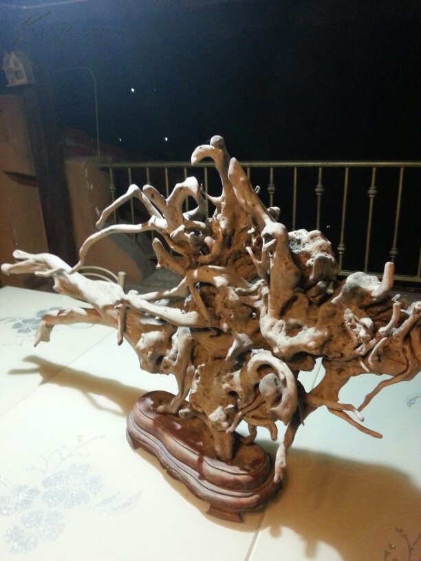 天然龙头根雕一座