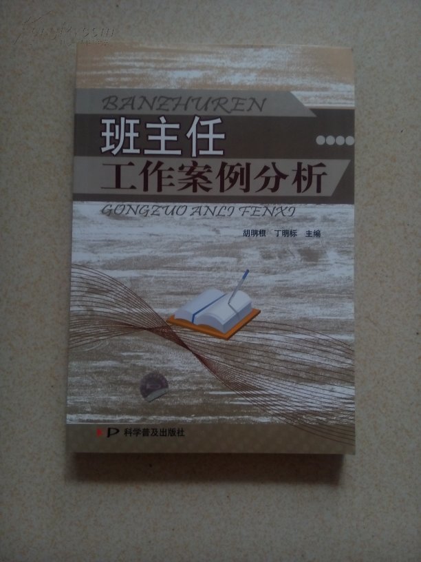 班主任工作案例分析