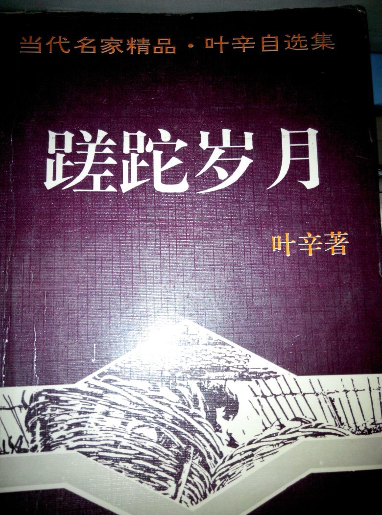 蹉跎岁月