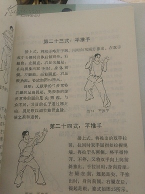 无极的曲谱_无极张柏芝(3)