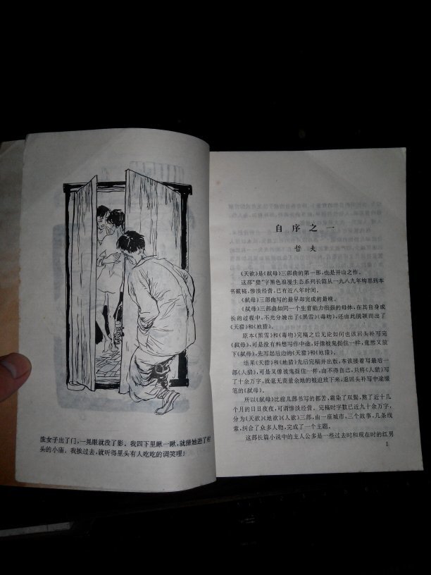 黑色浪漫系列长篇小说---《弑母》三部曲:之一 天欲,之二 地欲,之三
