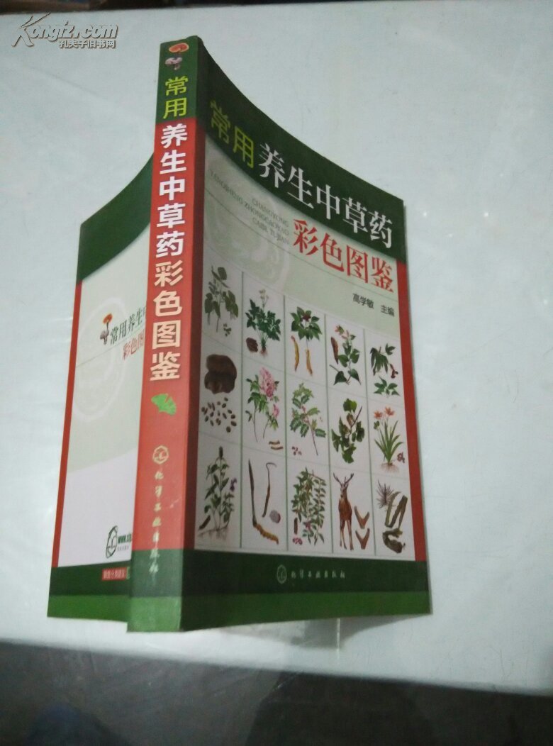 常用养生中草药彩色图鉴