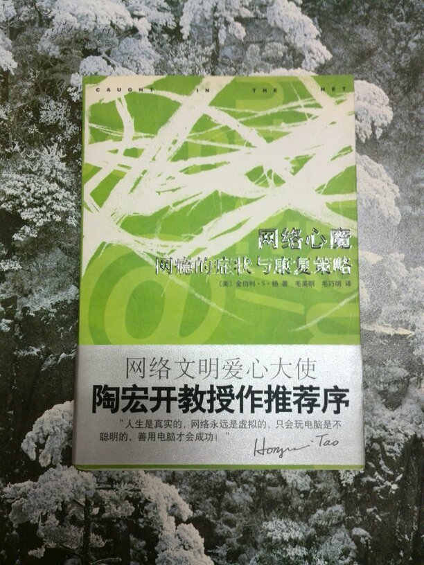 网络心魔:网瘾的症状与康复策略