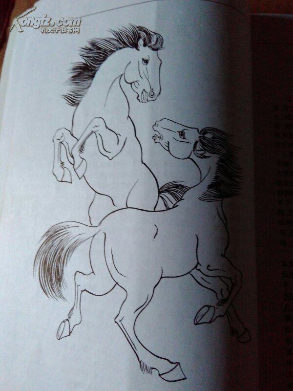 怎样画马