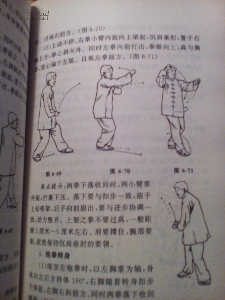 风格特点,功法理论,基本功法,桩法,基本技法和形意五行拳,形意十二