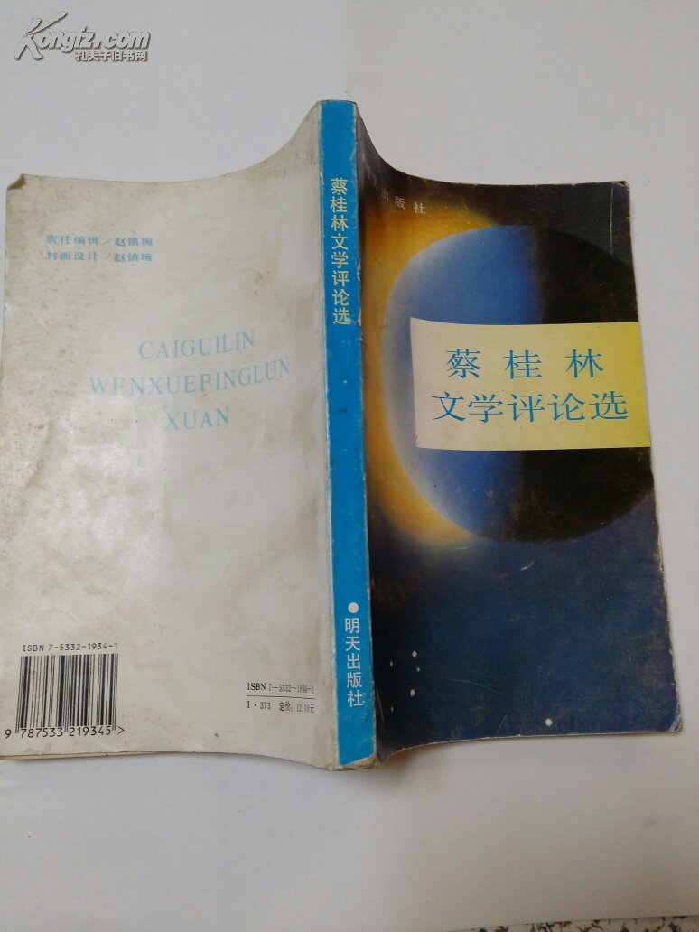 蔡桂林文学评论选