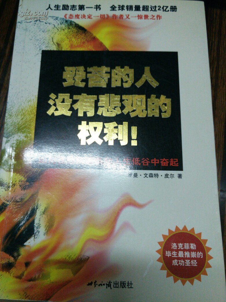 受苦的人没有悲观的权利!:如何在经济萧条和人生低谷中奋起