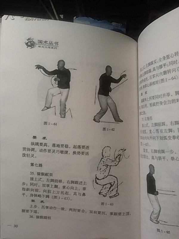 形意拳图解
