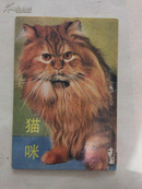 明信片：猫咪（一套10张全）