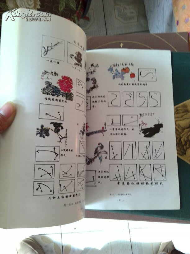 【图】中国写意花鸟画教程 山东老年大学教材