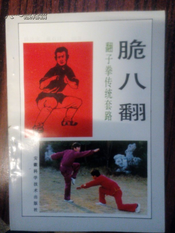 翻子拳传统套路跪八翻