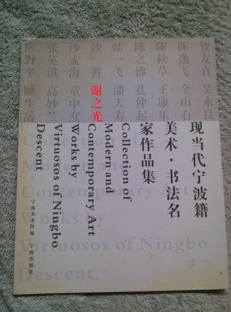 现当代宁波籍美术书法名家作品集谢之光外皮晒旧变色