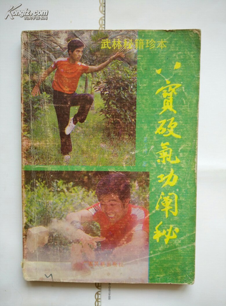 (大力鹰爪功,罗汉铁头功,铁臂功,金枪鸳鸯指,铁肚桶子功,大力金刚掌