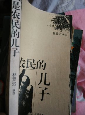 我是农民的儿子简谱_我是农民的儿子