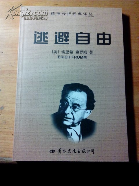 逃避自由 (精神分析经典译丛)