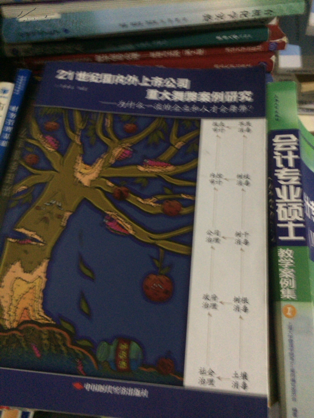 21世纪国内外上市公司重大舞弊案例研究