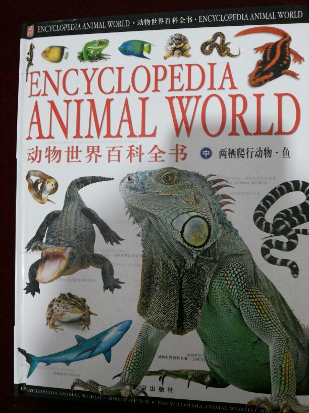 动物世界百科全书上中下