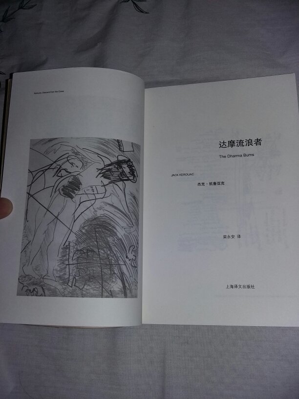 达摩流浪者,2017.7.13