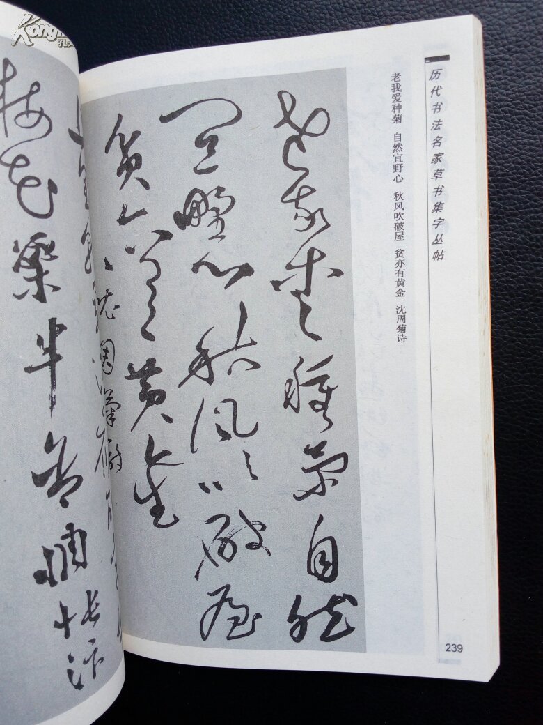 历代书法名家 草书集字丛贴