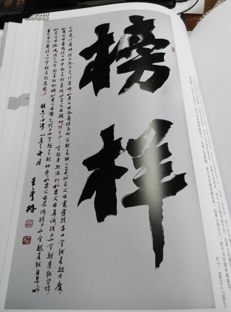 王其林书法作品集一唤醒心能量