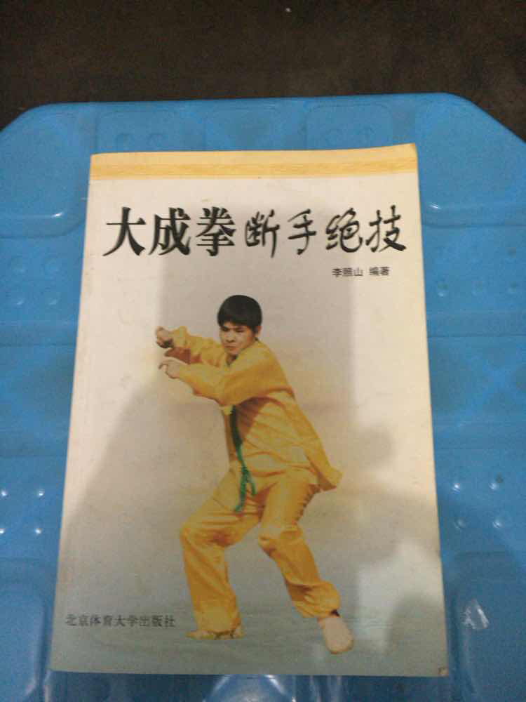 大成拳断手绝技_李照山 编著_孔夫子旧书网