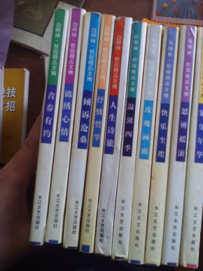 白桦林·校园精品文摘 第一二辑 人生诗旅 抒情