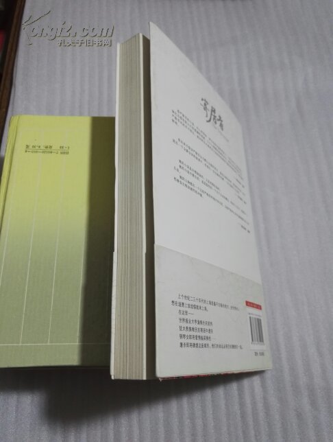 严歌苓作品集:寄居者