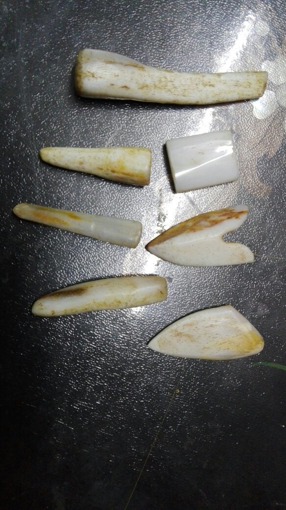 出土陪葬品《玉器七件:一个口蝉,一个眼罩,一个