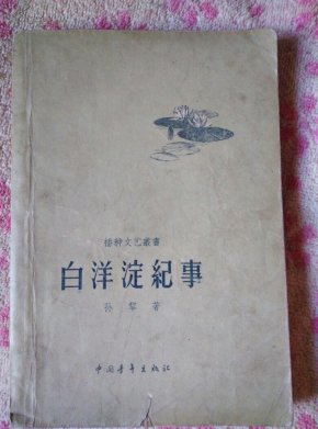 白洋淀纪事_简介_作者:_中国青年出版社