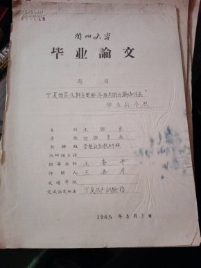 宁夏GDP的毕业论文_宁夏22个区县gdp出炉