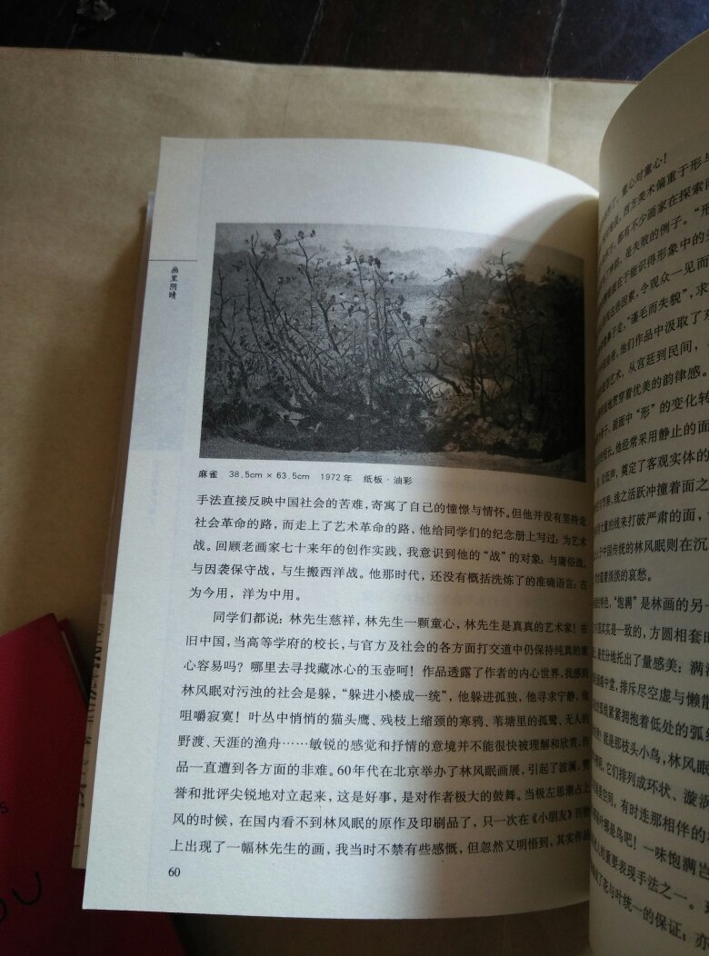 画里阴晴