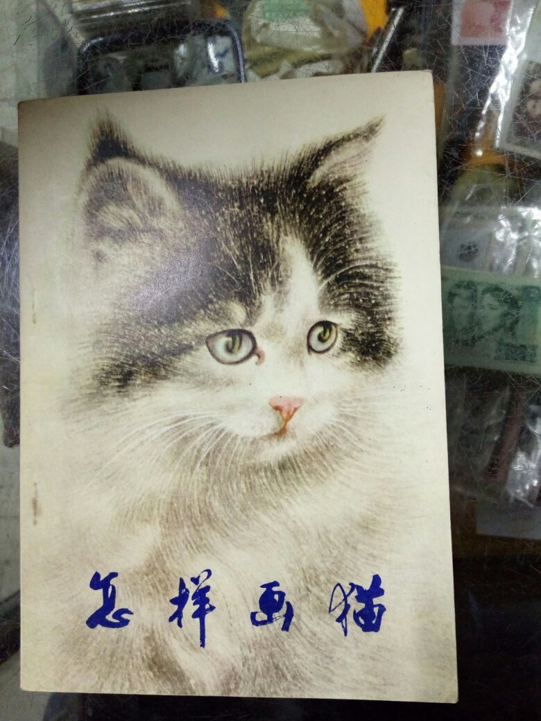 怎样画猫
