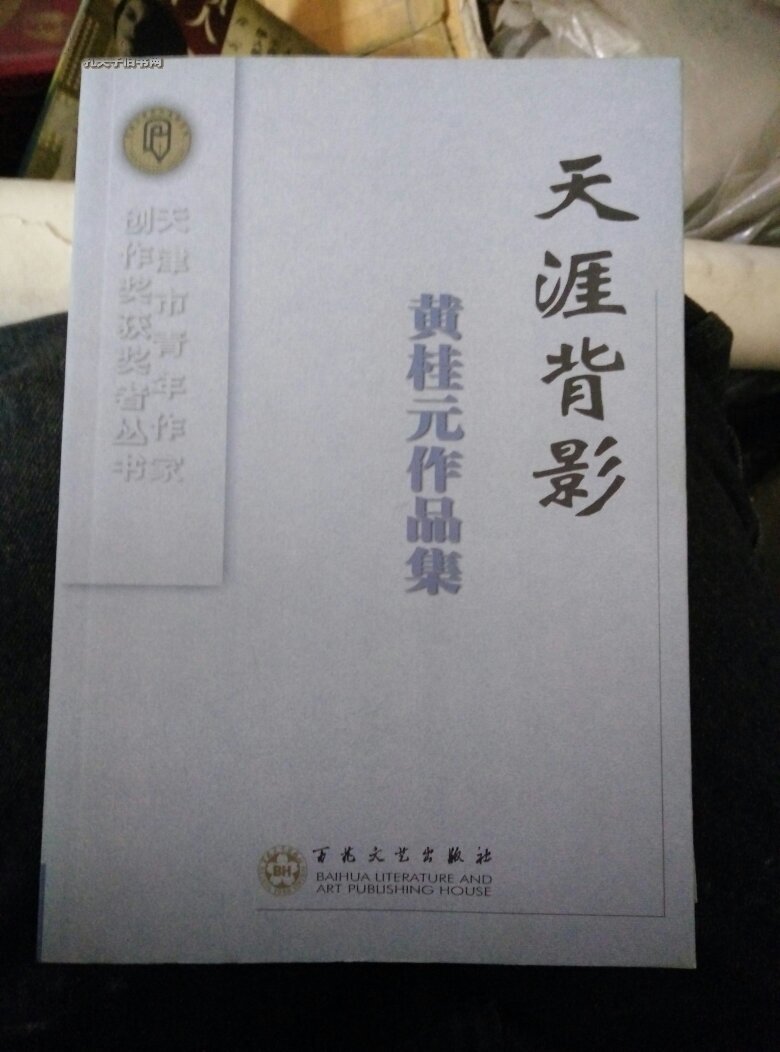 天涯背影黄桂元作品集