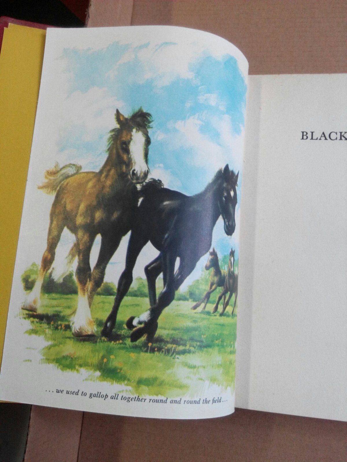 black beauty(黑骏马 英文1974年彩色插图精装原版)