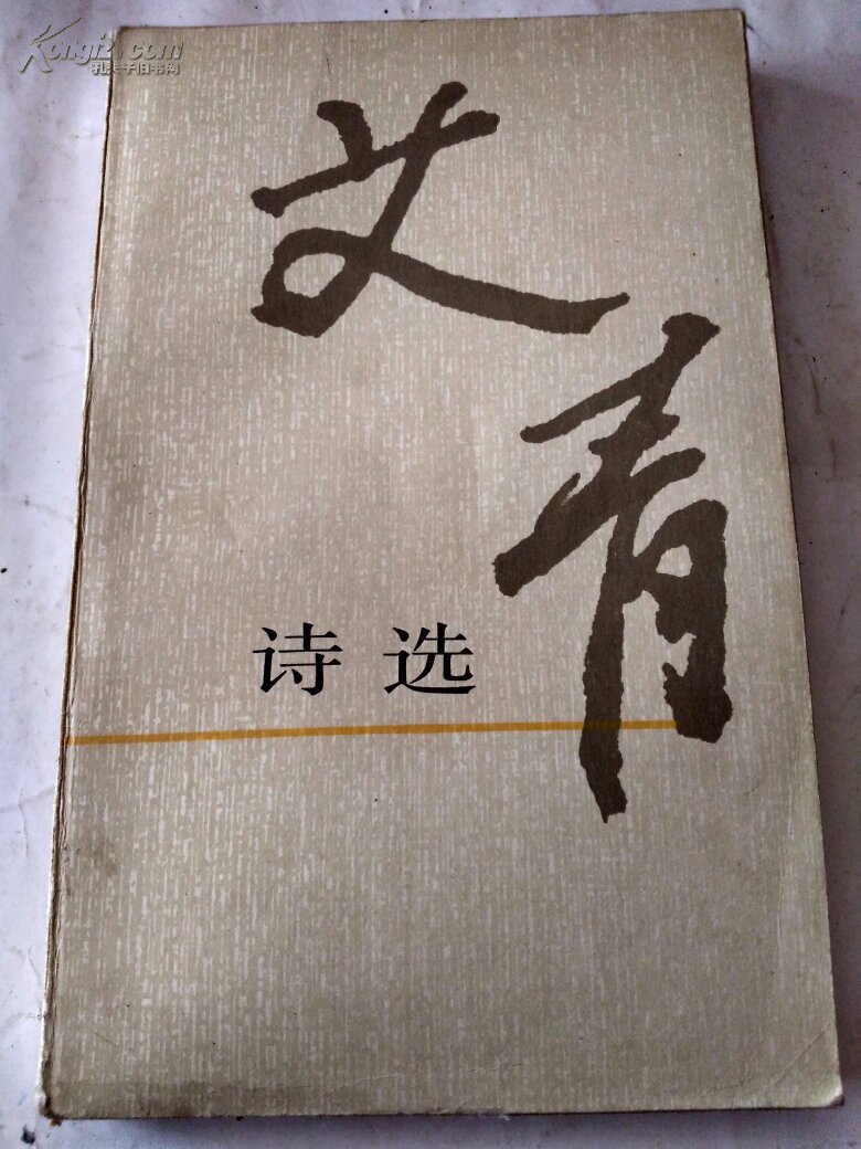 艾青诗选