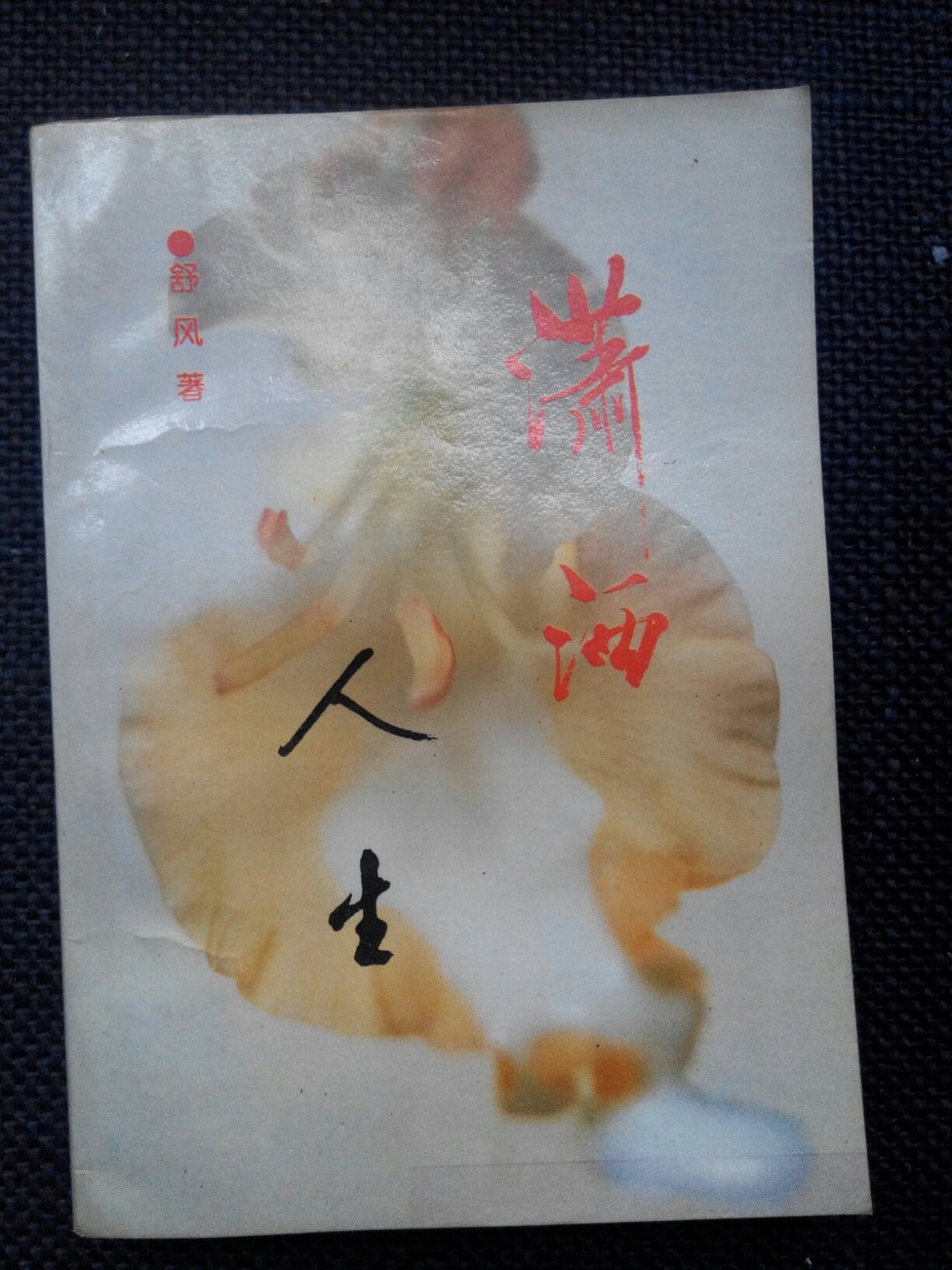 潇洒人生 【舒风签名本】