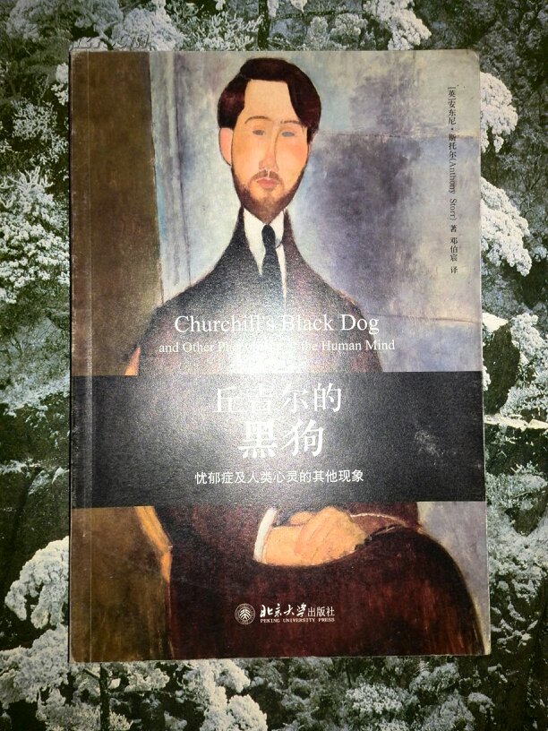 丘吉尔的黑狗