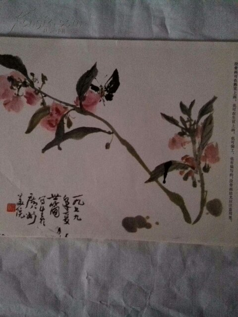 写意花鸟画技法 张世简 32张全