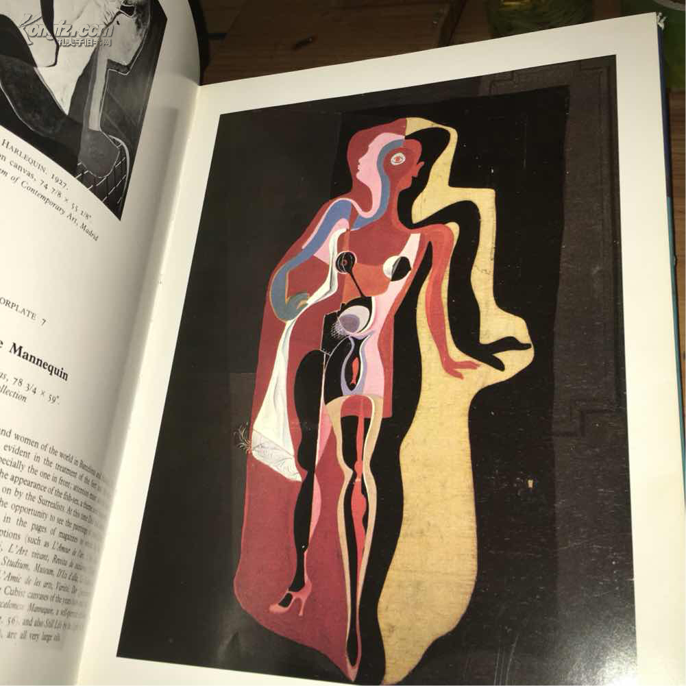 salvador dali,julio lglesias salvador dali