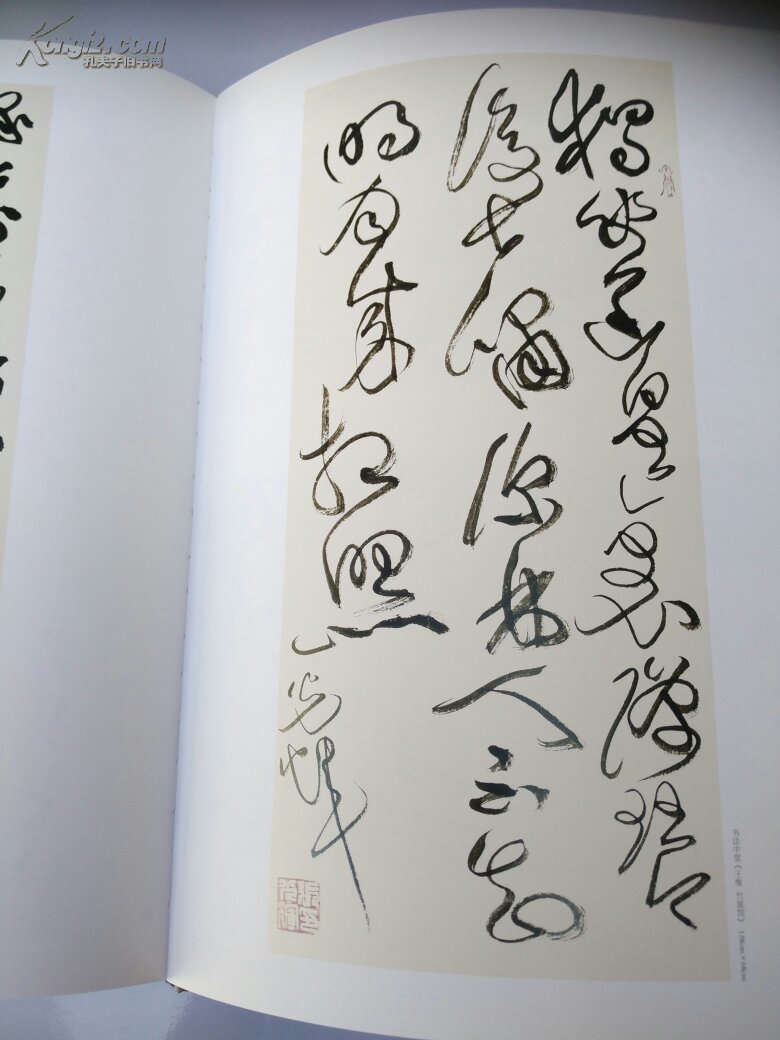 张光辉书法作品集8开精装本