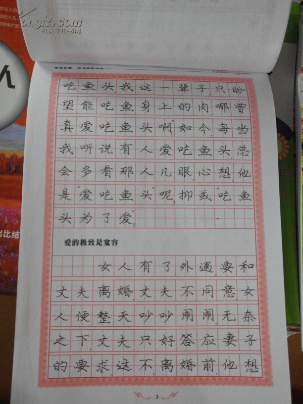 智慧背囊 (美字行遍天下,钢笔楷书字帖系列)