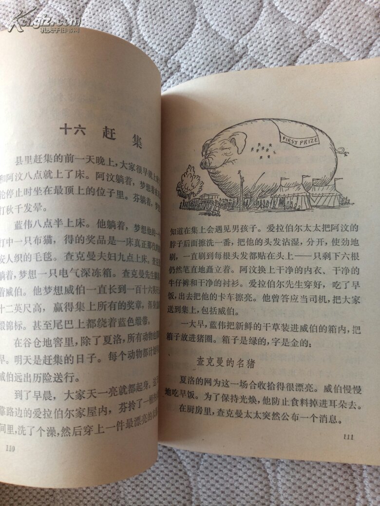 《夏洛的网》思维导图