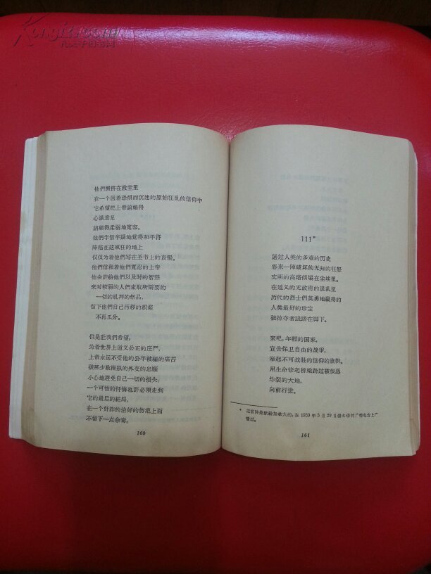 泰戈尔诗选 网格本
