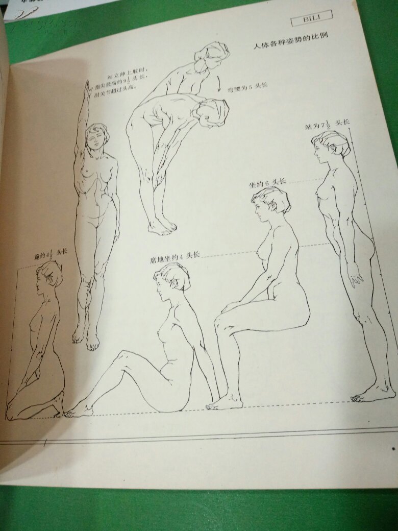 人体造型基础