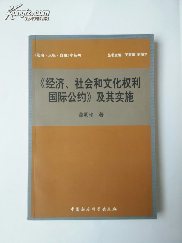 《经济,社会和文化权利国际公约》及其实施