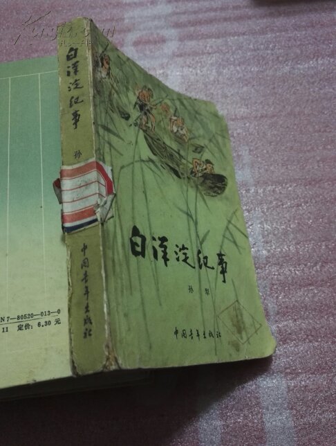 白洋淀纪事