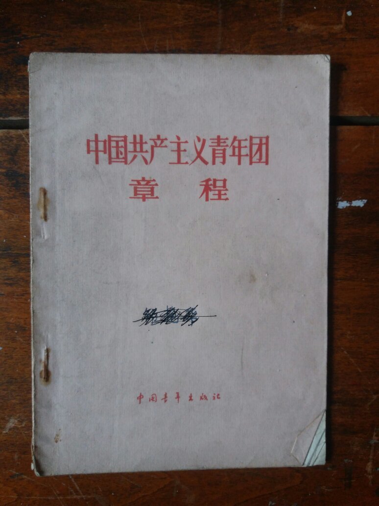 中国共产主义青年团章程