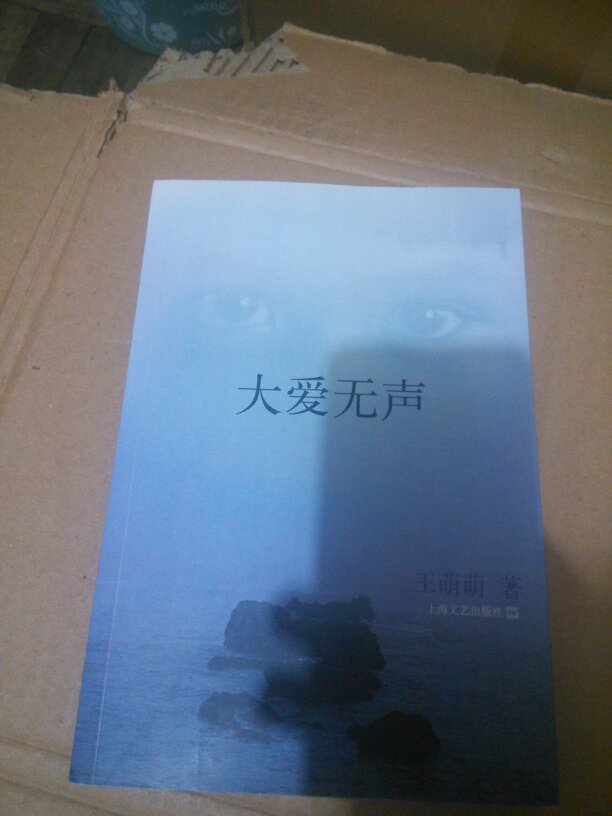 大爱无声(王萌萌)